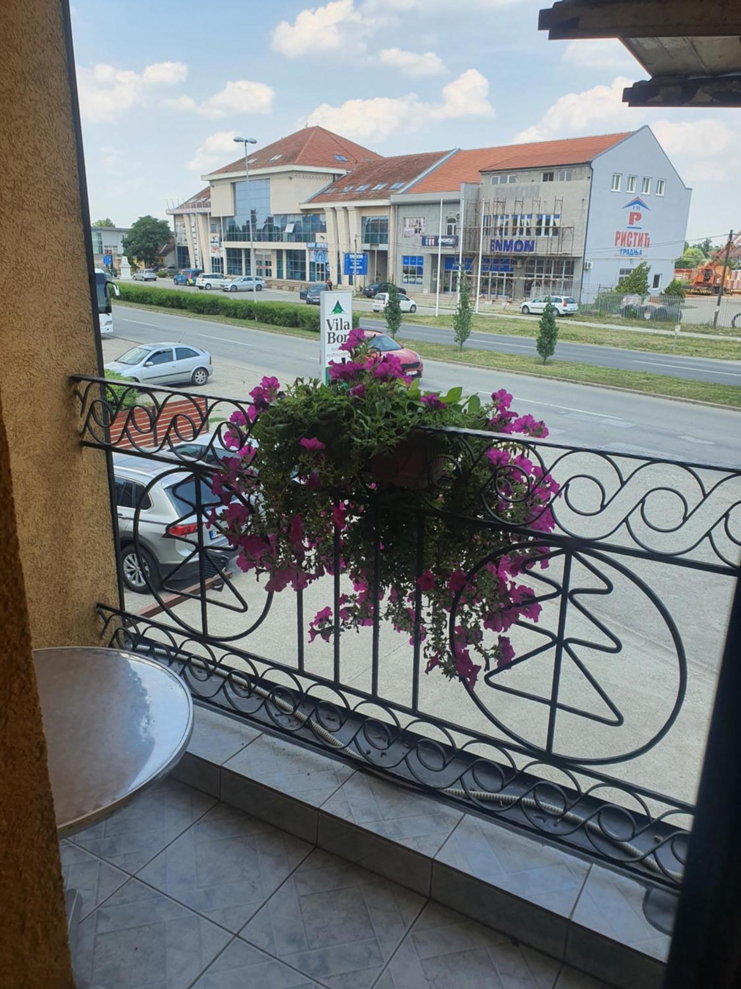 Guest House Vila Bor Novi Sad Exteriör bild